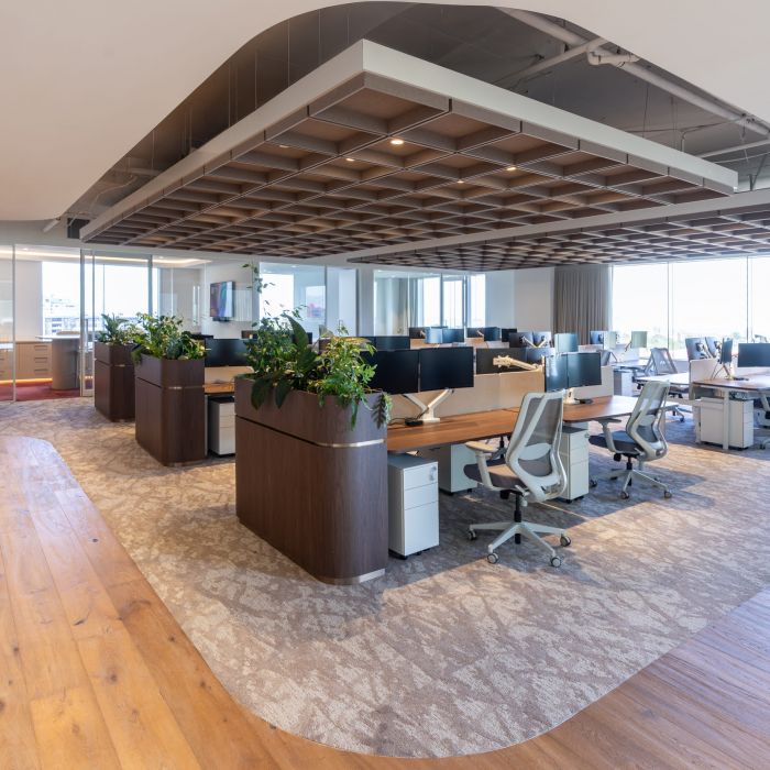 LDP CanopyHQ LR 20260314 151 DSC07650 HDR