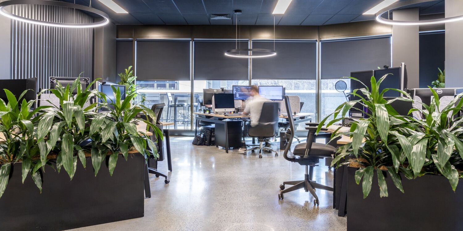 LDP Canopy Firelight LR  22 DSC02530 HDR v2